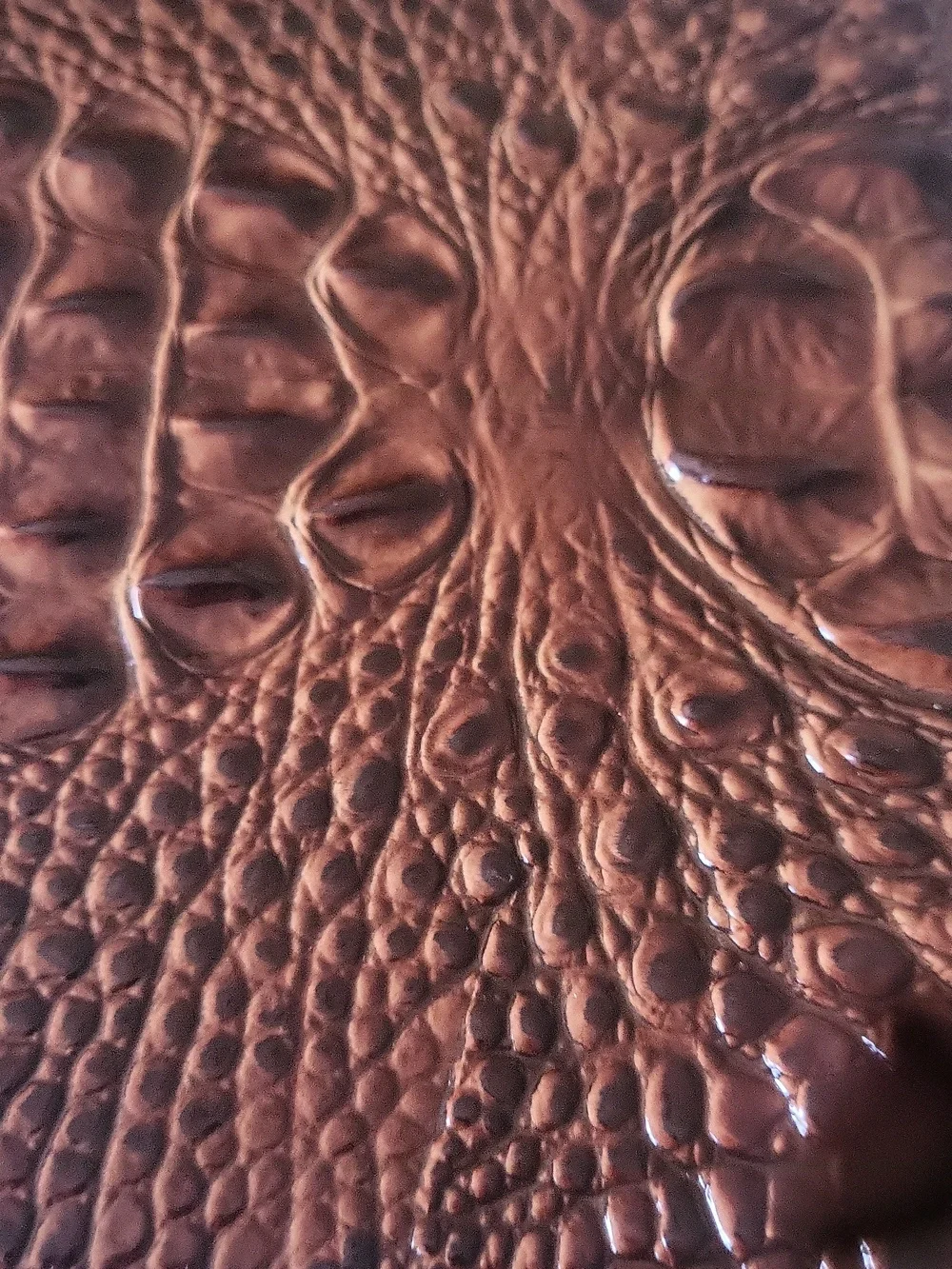Brahmin Duo Pen @ Leather Journal  Filled With Paper Two Sides Inside Extra Book